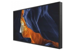 Информационный дисплей Philips 55